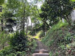 -莫干山风景区