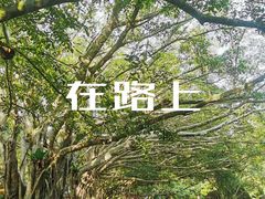 -海口火山口国家地质公园