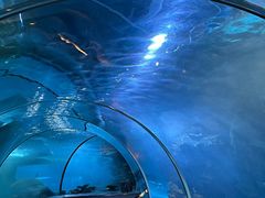 -石家庄海洋公园
