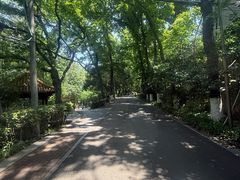 -北极阁公园