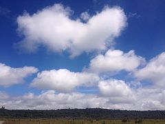 iphone_upload_pic-夏威夷火山国家公园