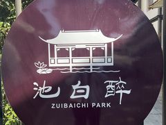 -上海醉白池公园