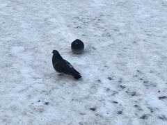 -谢尔盖圣三一大修道院