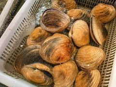 -万盛合(渔人码头店)