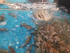 -盒马鲜生(曜一城店)
