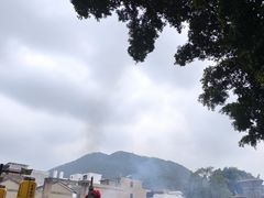 -悦城龙母祖庙