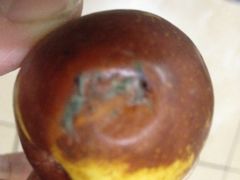 -江杨农产品批发市场