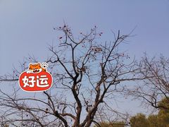 -西安浐灞国家湿地公园