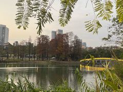 -四海公园(南山区)