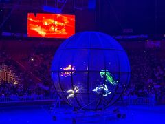 -俄罗斯国家大马戏团