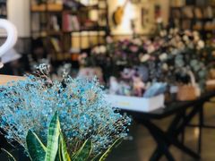 -之悦咖啡馆(新星宇·之洲店)