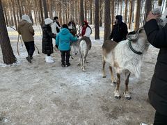 -北极村旅游风景区