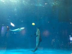 -华夏文旅海洋公园