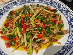 姜丝兔兔-新蜀会四川豆花(五羊店)