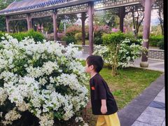 -飞来湖湿地公园