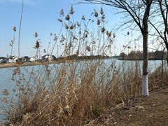 -梁鸿国家湿地公园