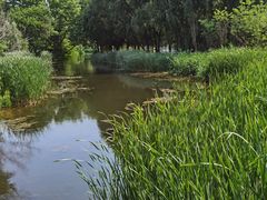 -长白岛森林公园