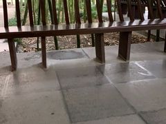 -浙江省博物馆(孤山馆区)