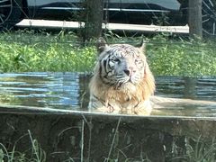 -秦皇岛野生动物园