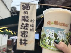 -猫的魔法密林(衣裳街店)