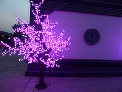 -暖泉古镇