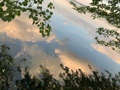 -东湖生态旅游风景区