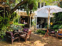 -Fern Forest Cafe