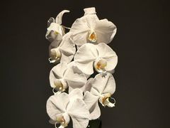 -湖滨客舍·湖北菜