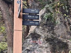 -北京鹫峰国家森林公园