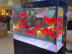 -五丁桥光头香辣蟹(望江橡树林店)