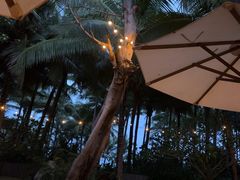 -三亚艾迪逊酒店·海滩烧烤 BARBACOA·现场乐队·浪漫晚餐·烧烤海鲜