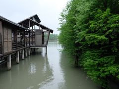 -溱湖国家湿地公园