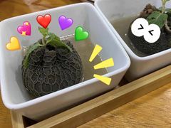 -喜之羊·粉面档