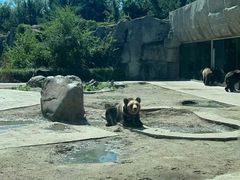 -齐齐哈尔龙沙动植物园