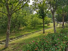 -永定河休闲森林公园