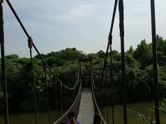 -吴淞炮台湾湿地森林公园烧烤区