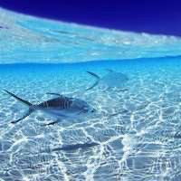 -薇兰专业脱毛连锁机构