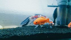 点击看大图 -蔚蓝映像STUDIO婚纱摄影(南稍门店)