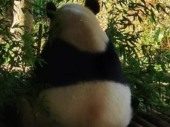 -云南野生动物园
