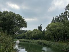 -大兴滨河森林公园