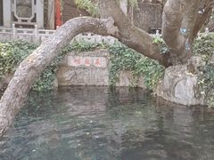-蝴蝶泉公园