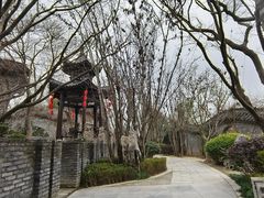 -朴园