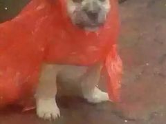 -85度C(苏州石路店)