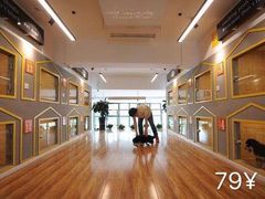 -西元前宠物酒店(郑庄府邸店)