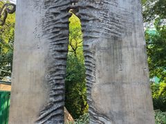 -九龙公园