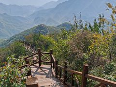 -大岭沟猕猴桃谷风景区