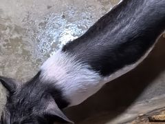 -嘉兴海底世界