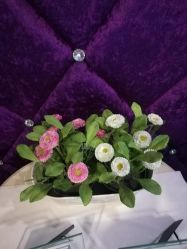 -薇兰专业脱毛连锁机构