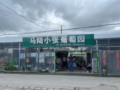 -马陆小张葡萄园农家乐