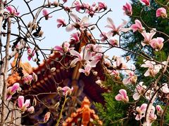 -东华门大街小区